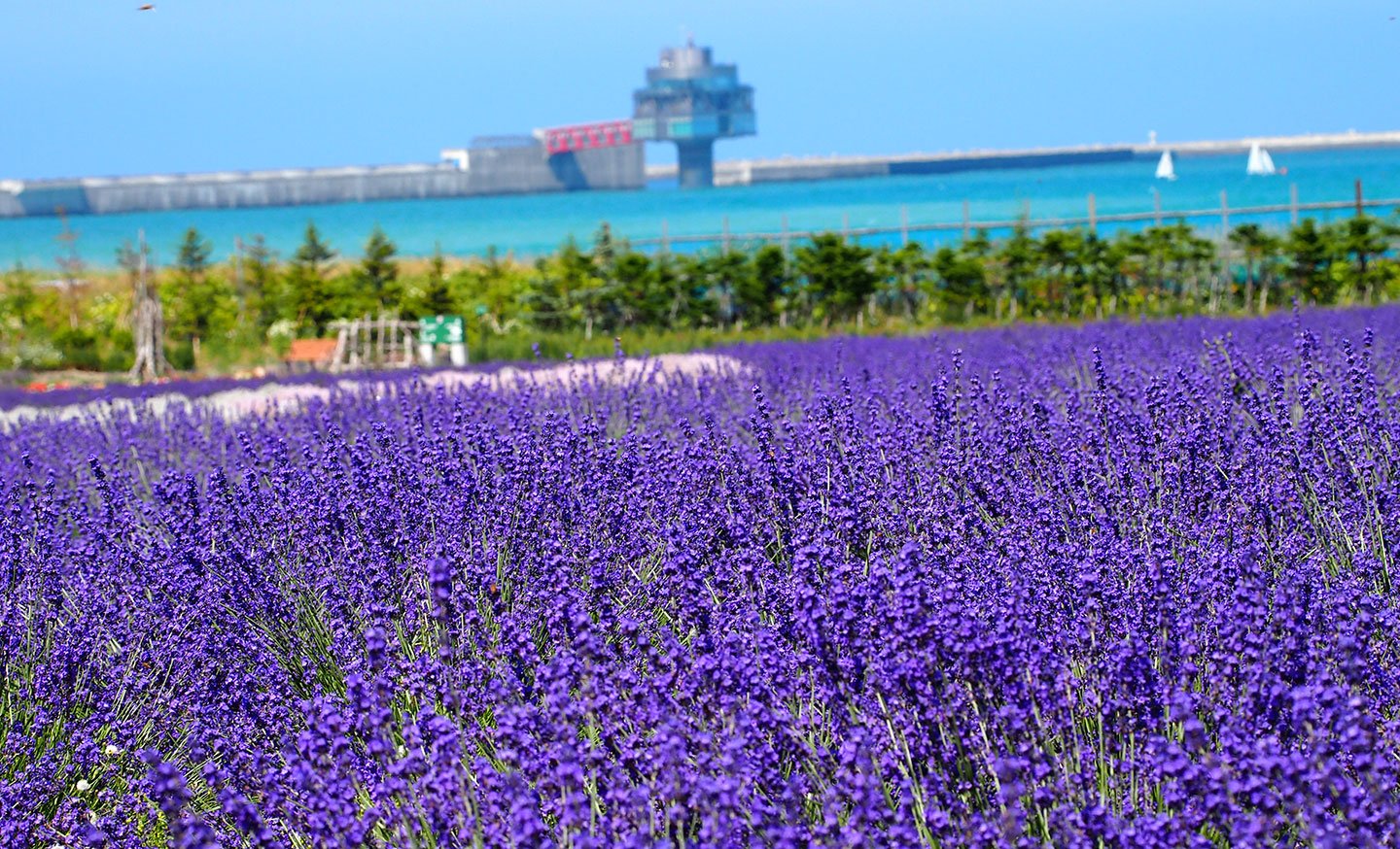 🏞️ 도립 오호츠크 유빙공원 이미지 6